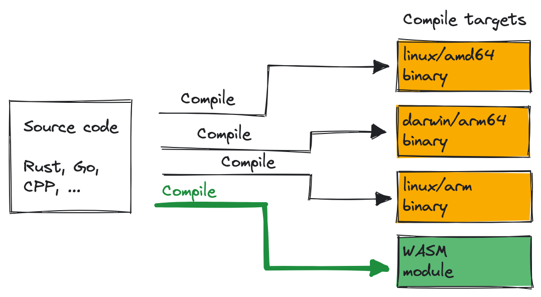 Wasm as a compilation target