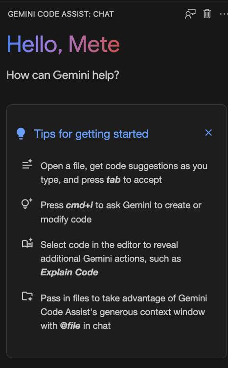 Gemini Code Assist