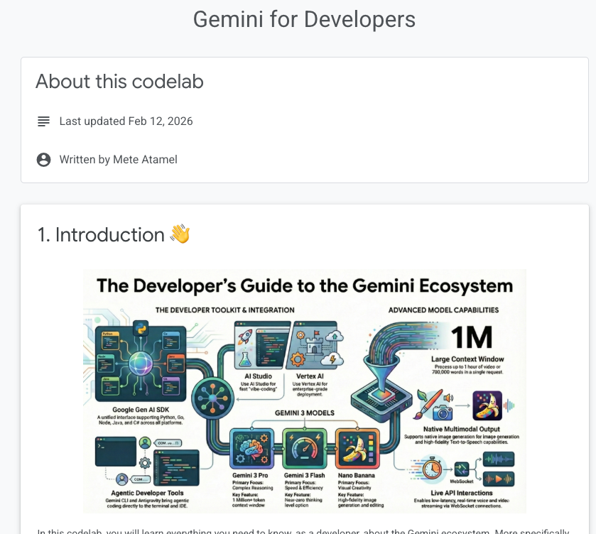 Gemini for Developers
